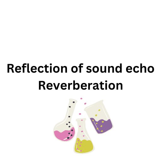 Reflection of sound echo Reverberation